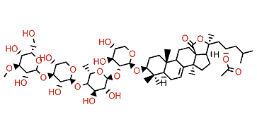 Thelenotoside A